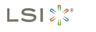 LSI image